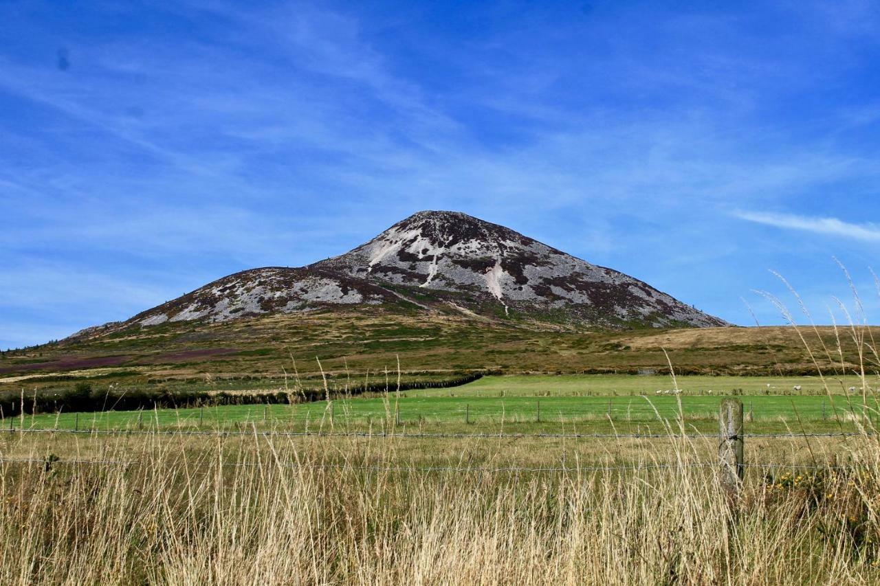 The Nook County Dublin Guest House Ngoại thất bức ảnh